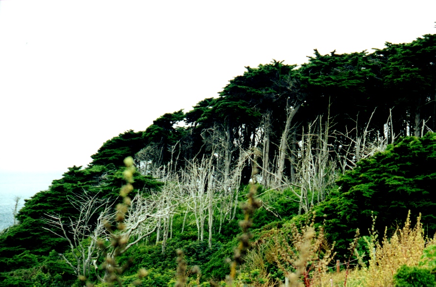 Umgebung San Franzisco 2