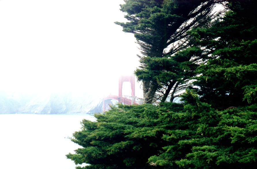 Golden Gate Bridge 15