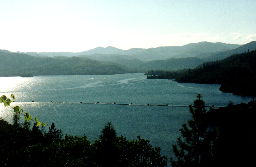 Lake Shasta 5