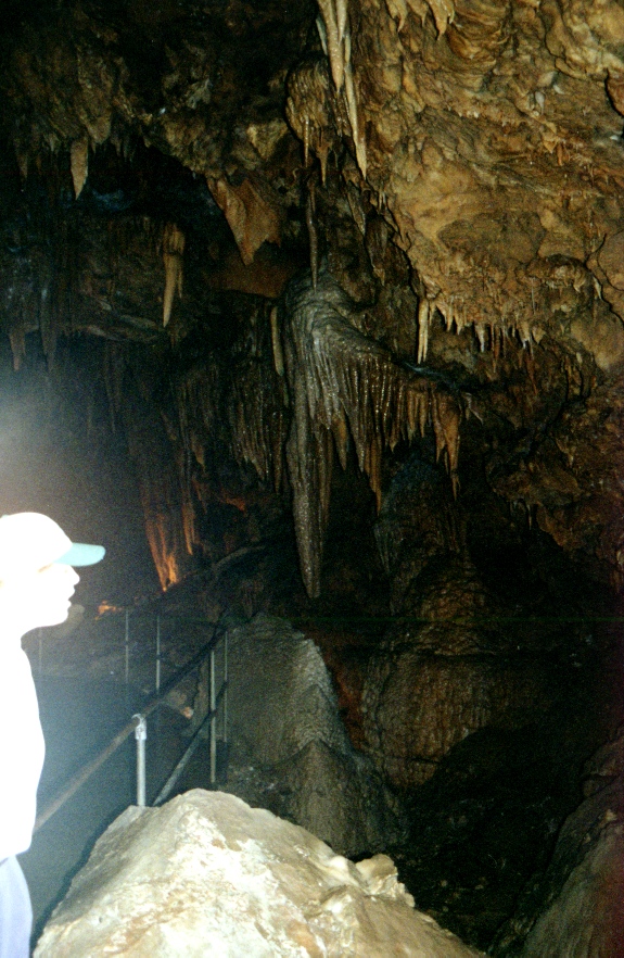Shasta Cavern's 4