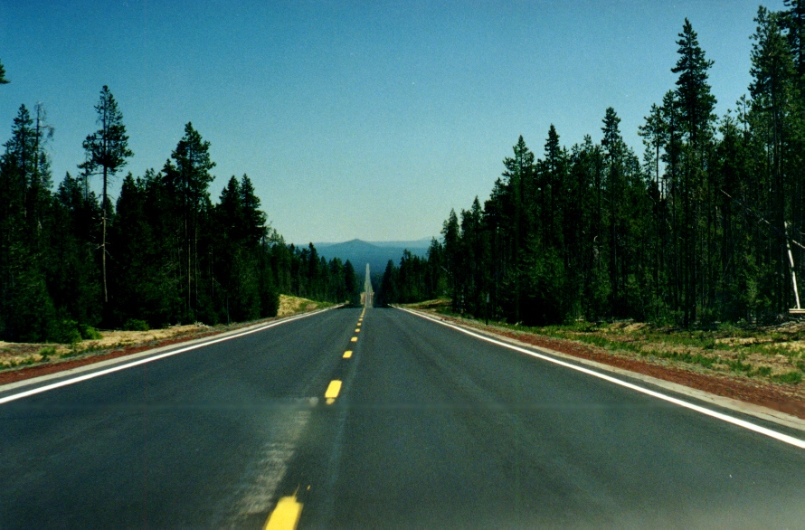 Endlose W&auml;lder 3