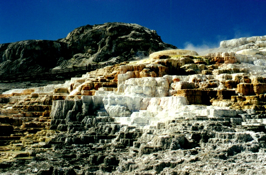Minerva Terraces 5
