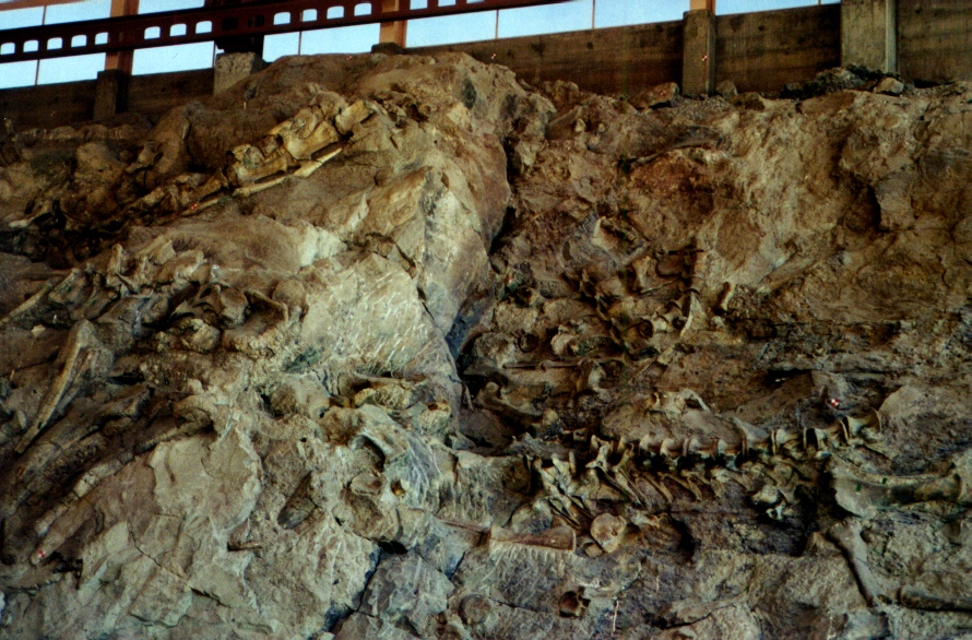 Dinosaur National Monument 7