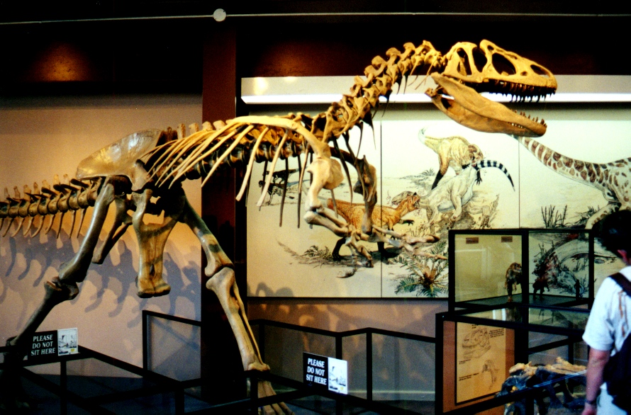Dinosaur National Monument 9