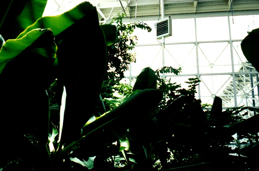 Biosphere 2 3