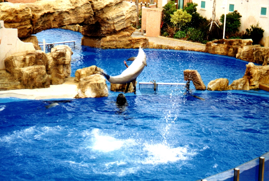 Sea World 2