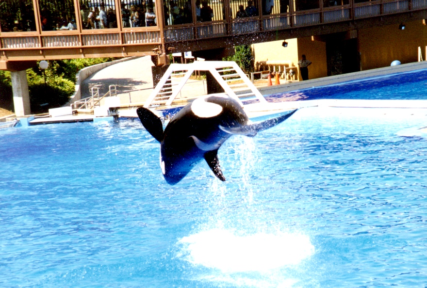Sea World 7