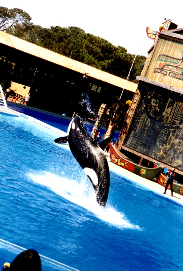 Sea World 11