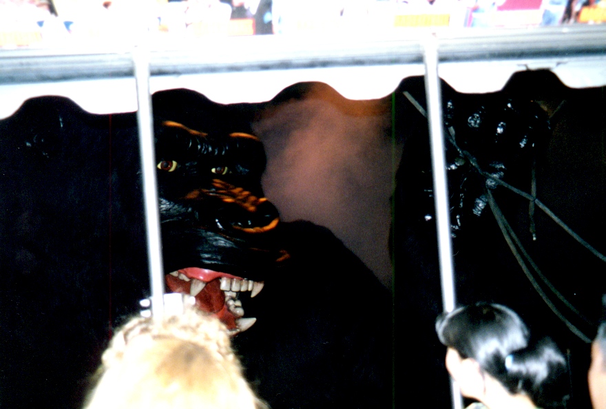 Universal Studios 16