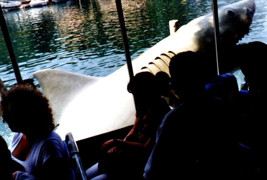 Universal Studios 23