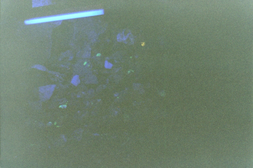 Grand Canyon Cavern's 8