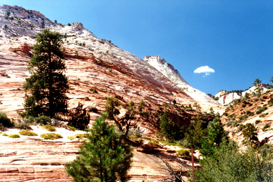 Zion 5