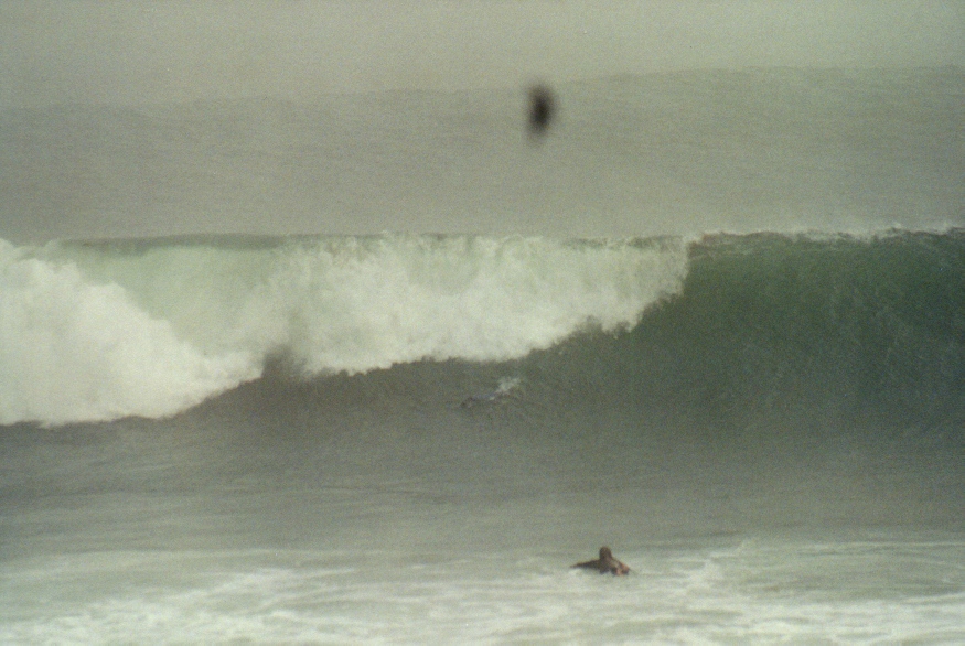 Monterey 4