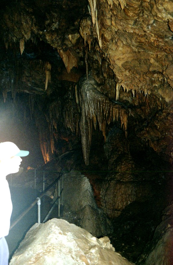 Shasta Cavern's 4