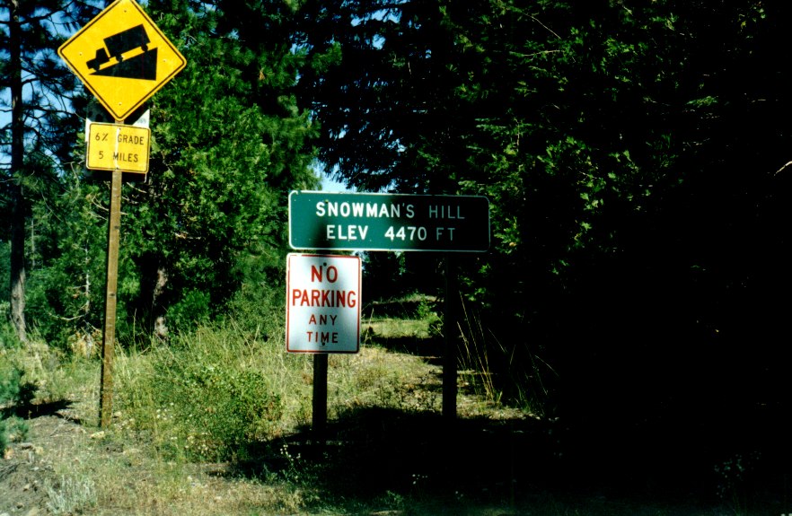 Endlose W&auml;lder 4