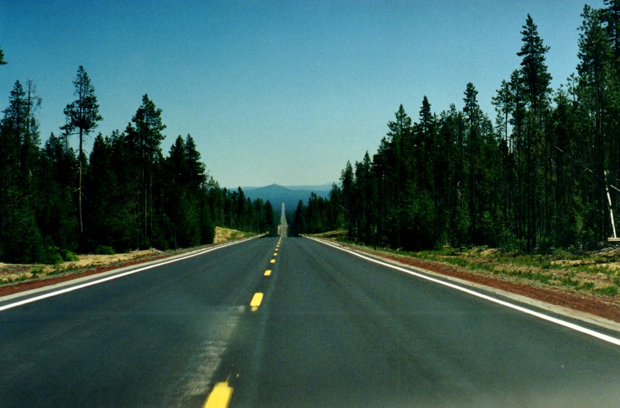 Endlose W&auml;lder 3