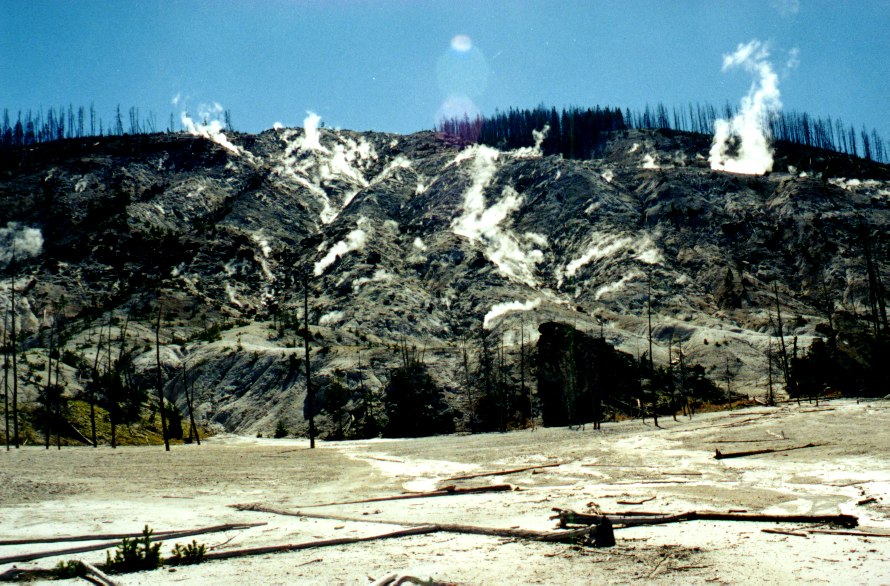 Minerva Terraces 1