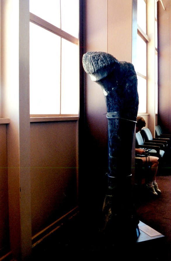 Dinosaur National Monument 6