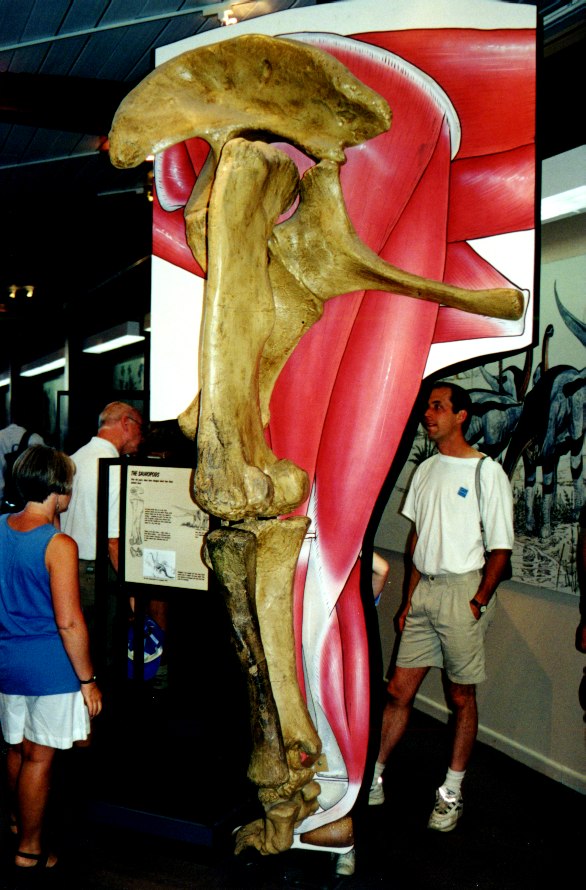 Dinosaur National Monument 8