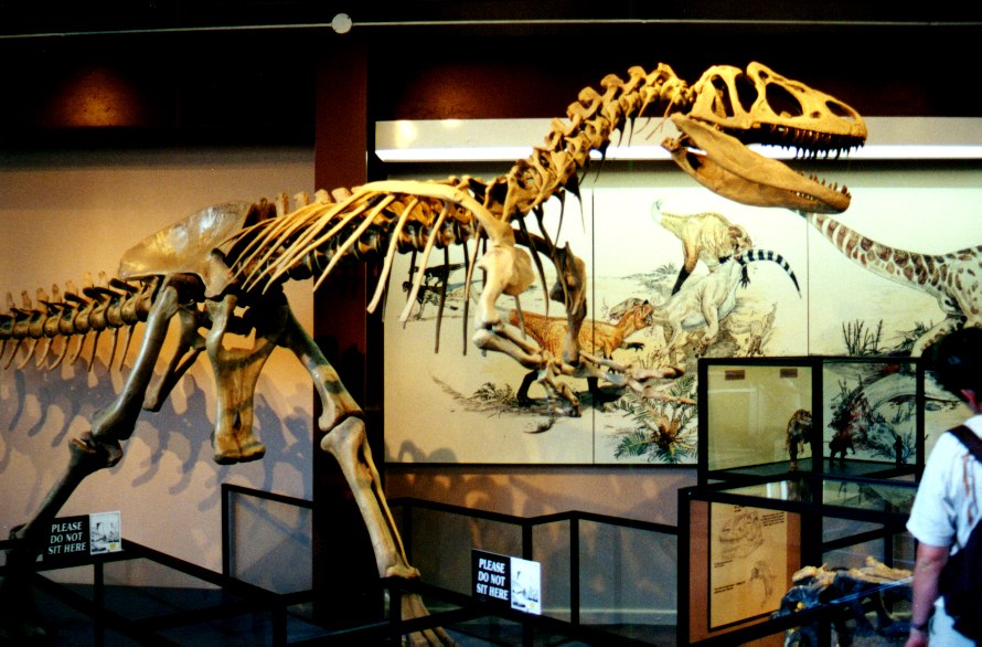 Dinosaur National Monument 9