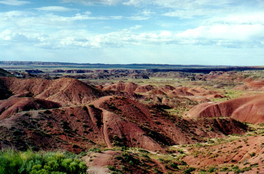 Petrified Forest 9