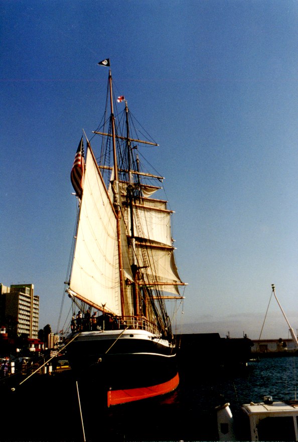 Harbor 1