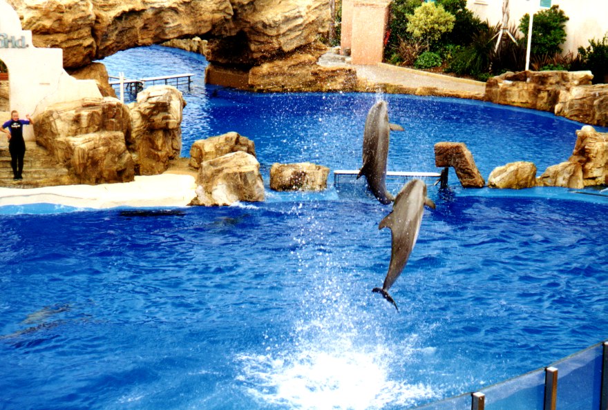 Sea World 1