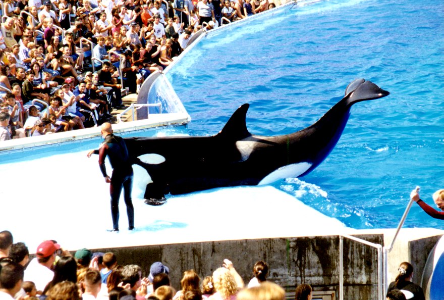Sea World 12