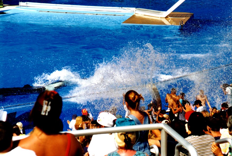Sea World 13