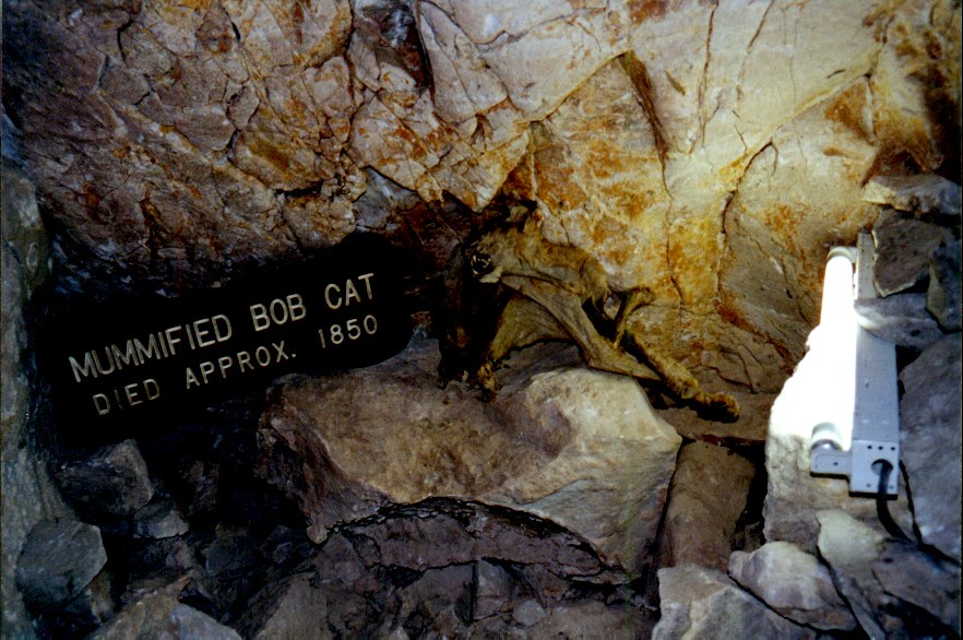 Grand Canyon Cavern's 2