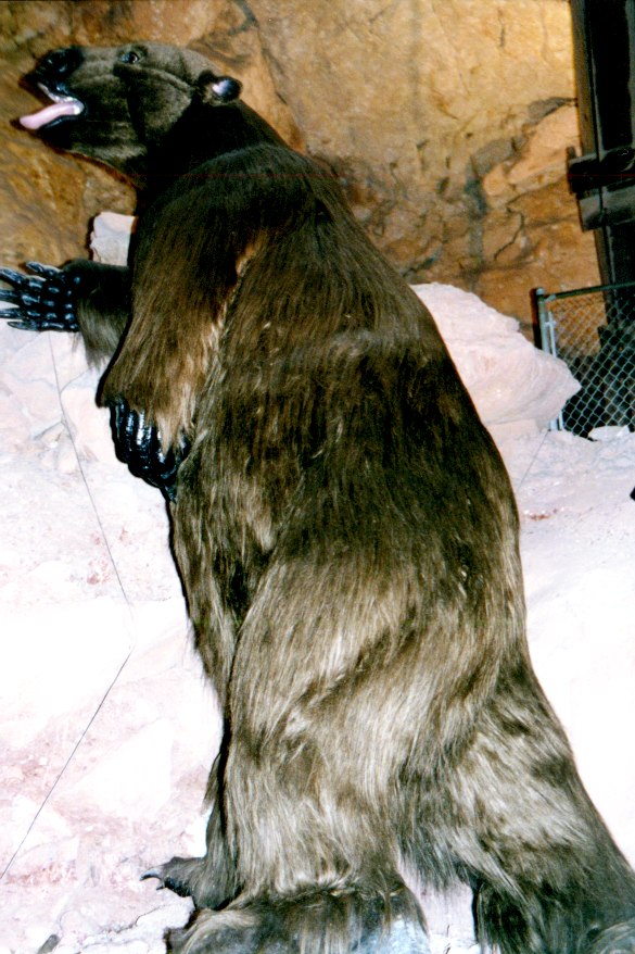 Grand Canyon Cavern's 4