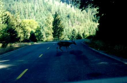 Lake Shasta 7