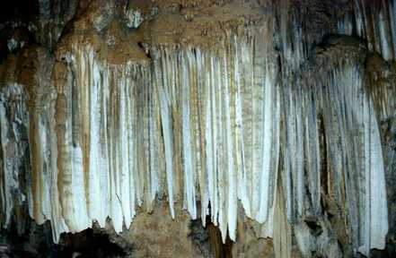 Shasta Cavern's 1
