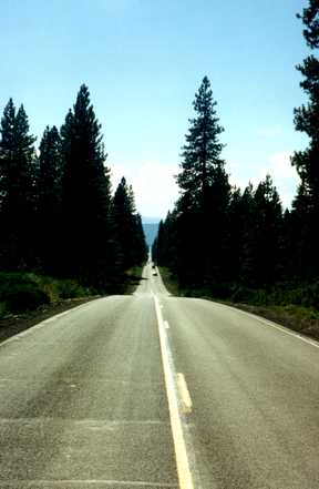 Endlose W&auml;lder 2