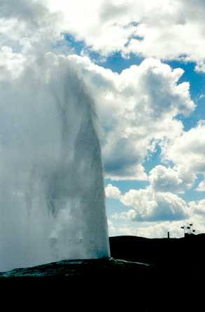 Old Faithful 8