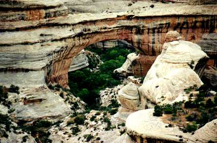 Natural Bridges 1