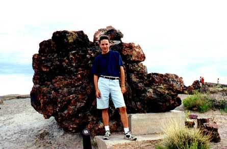 Petrified Forest 8
