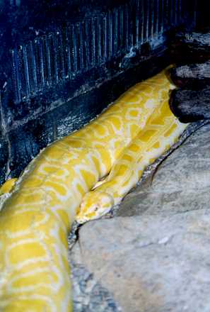 San Diego Zoo 14