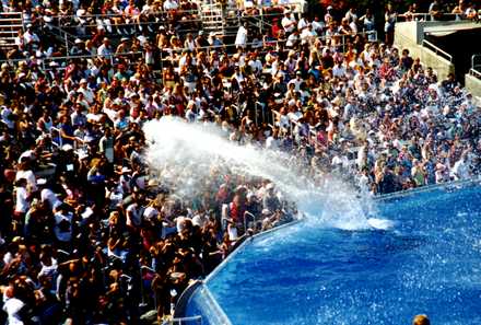 Sea World 15