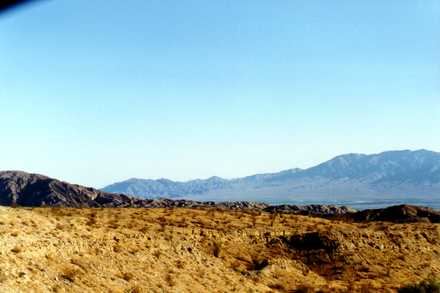 Joshua Tree 1