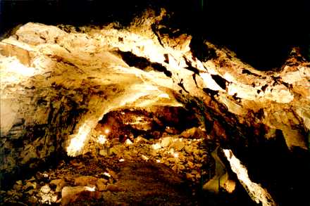 Grand Canyon Cavern's 5