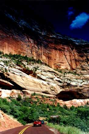 Zion 4