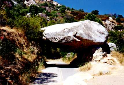 Sequoia 1