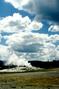 Old Faithful 5