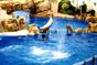 Sea World 2
