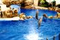 Sea World 1
