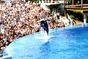 Sea World 9