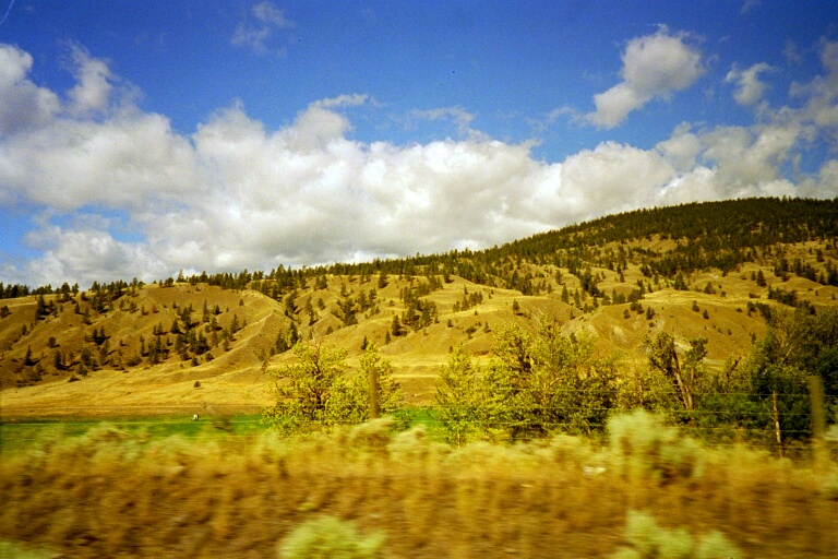 Pemberton 4