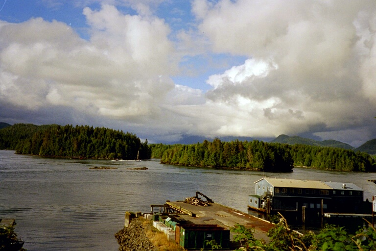 Tofino 1