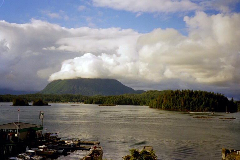 Tofino 2